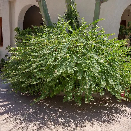 Panzió Terrazza Sul Plemmirio 4*