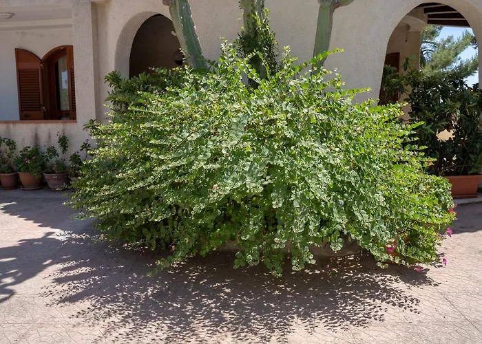 Bed & Breakfast Terrazza Sul Plemmirio 4*